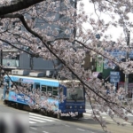都電・桜景色