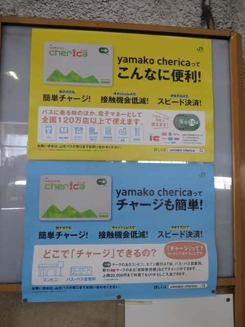 yamako cherica（ヤマコウチェリカ）_ポスター