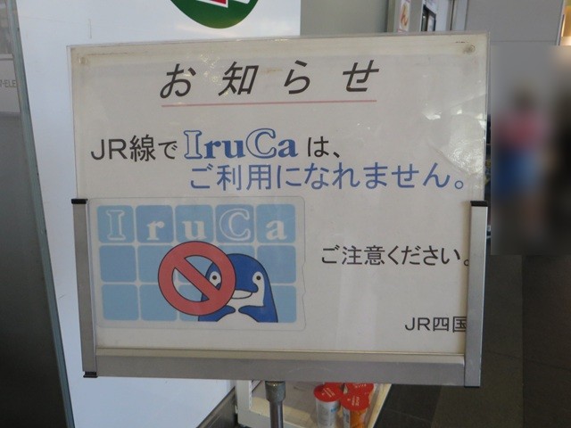 IruCa（イルカ）_掲示